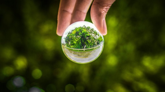 Sustainability